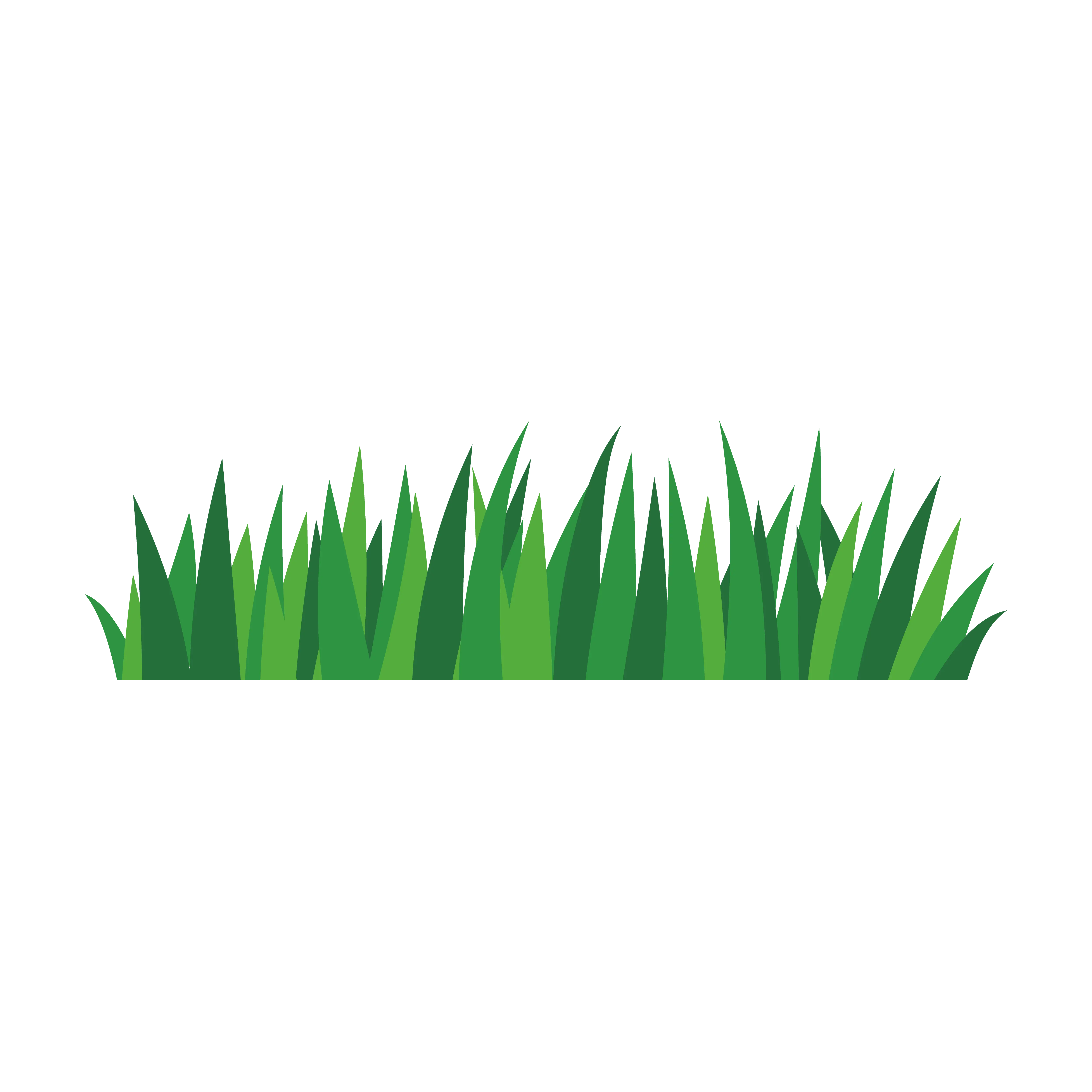 grass
